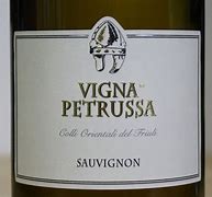 Vigna_Petrussa_-_Sauvignon